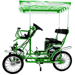 2 Person Surrey Limousine