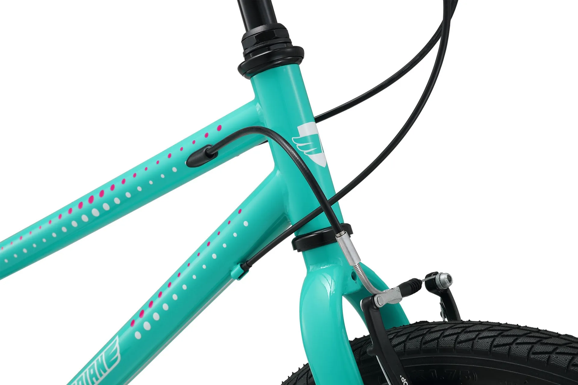 20 Inch Large Bike