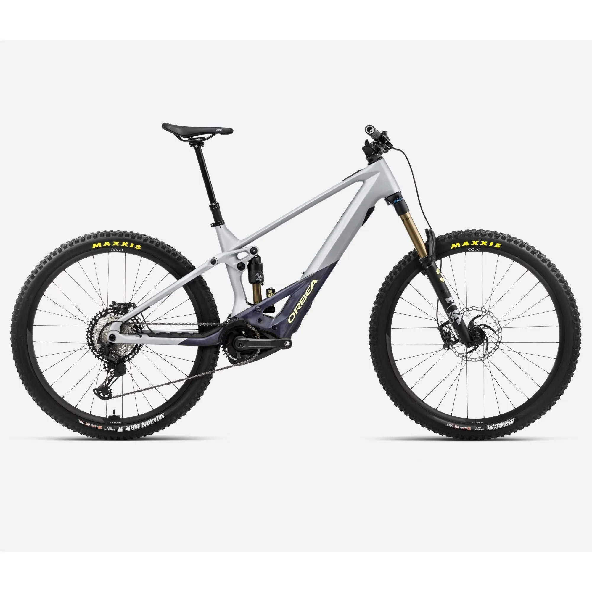 2024 Orbea Wild M-TEAM