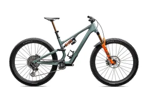 2025  Stumpjumper 15 S-Works ltd bike gloss fjord metallic / dolomite metallic s2