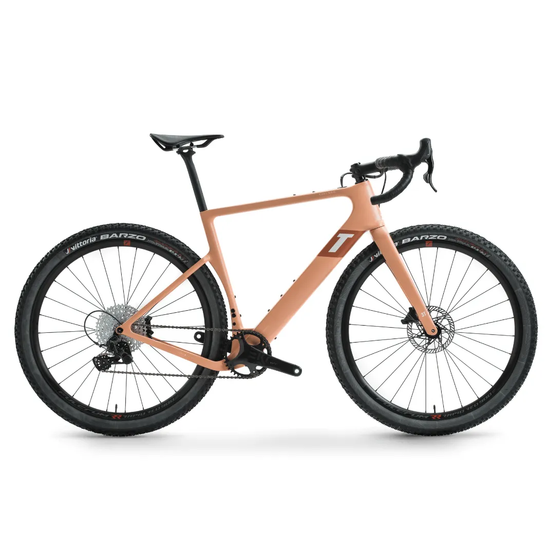 3T Exploro Ultra Campagnolo Ekar 1x 650b