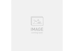 allez sprint frmset copper multicolor blurred impasto / brushed liquid metal 61