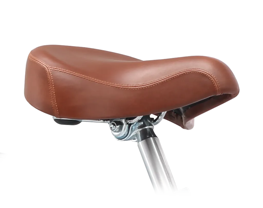 A/O Women's Serena 7 Speed Commuter Bicycle