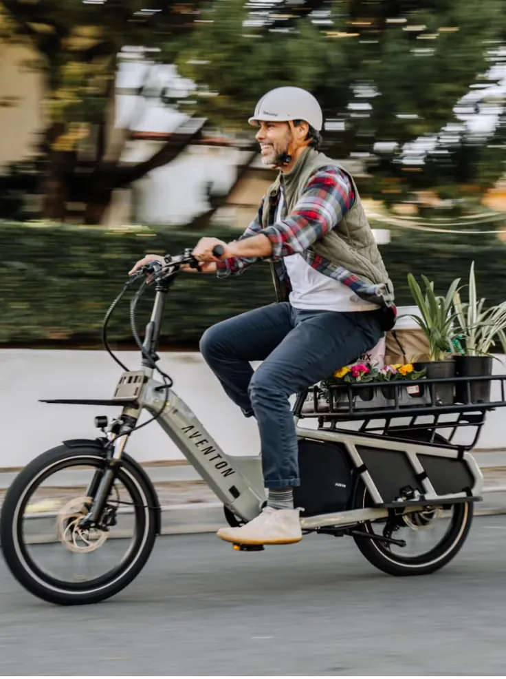 Aventon Abound Cargo Electric Bike