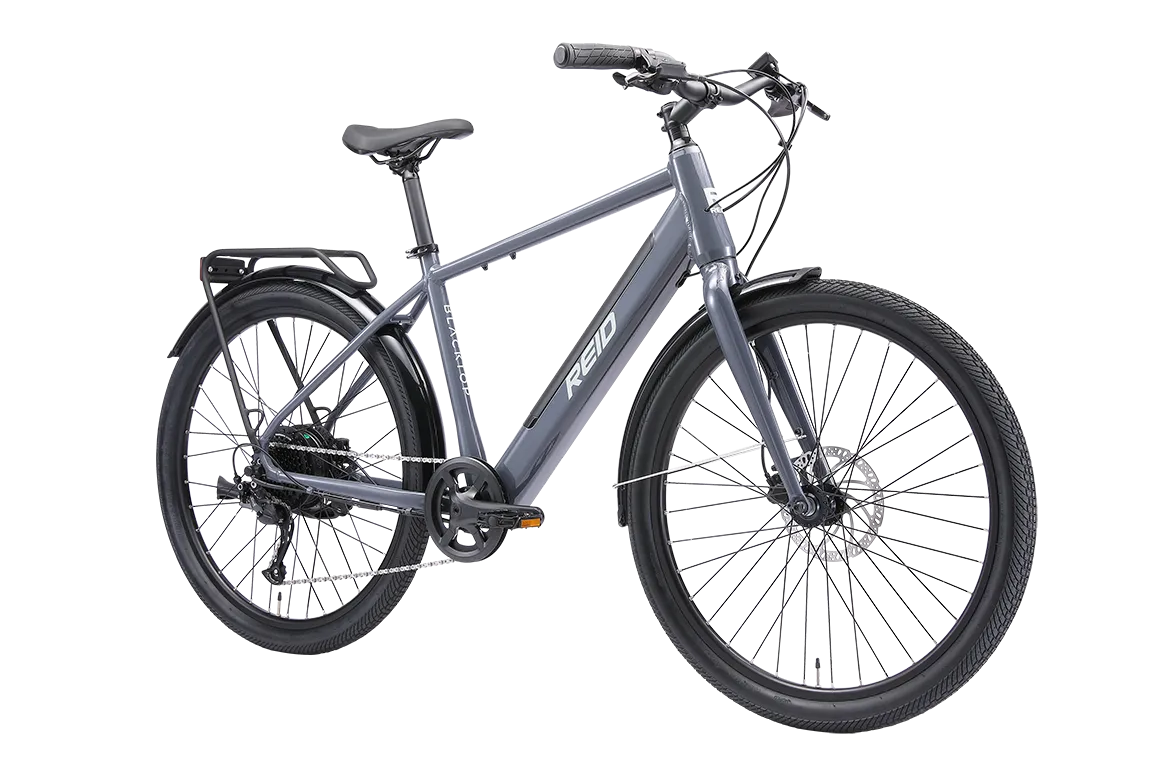 Blacktop 1.0 eBike - SMALL ONLY