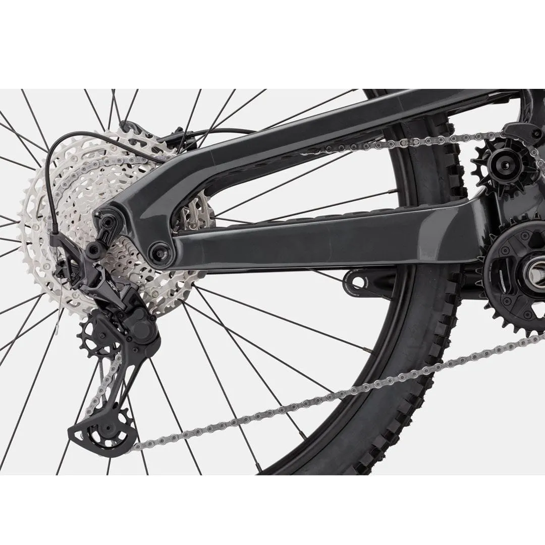 Cannondale Jekyll 2 29"