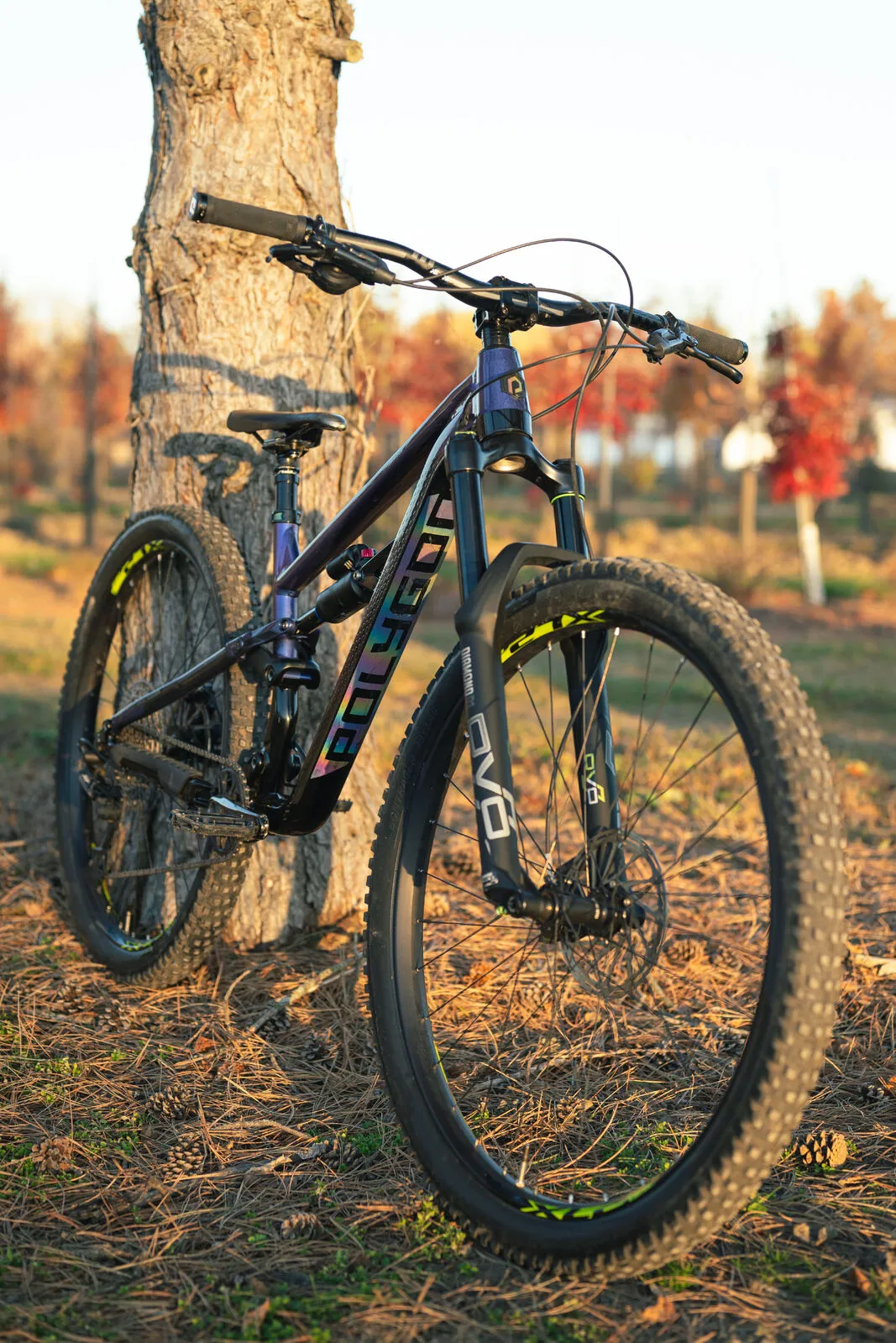 DVO Suspension Diamond D1 Fork - 44mm