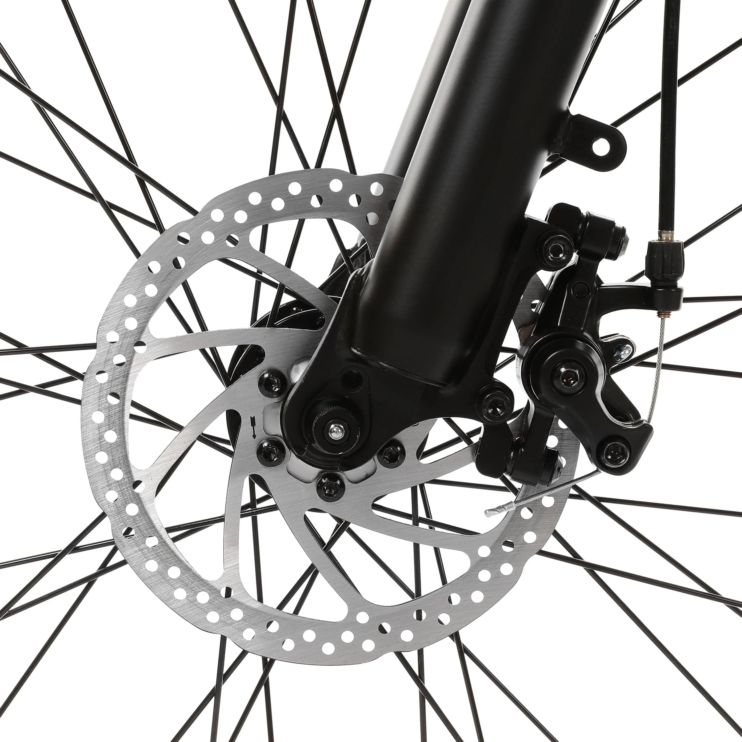 Ecotric Vortex 36V 350W Electric Bike