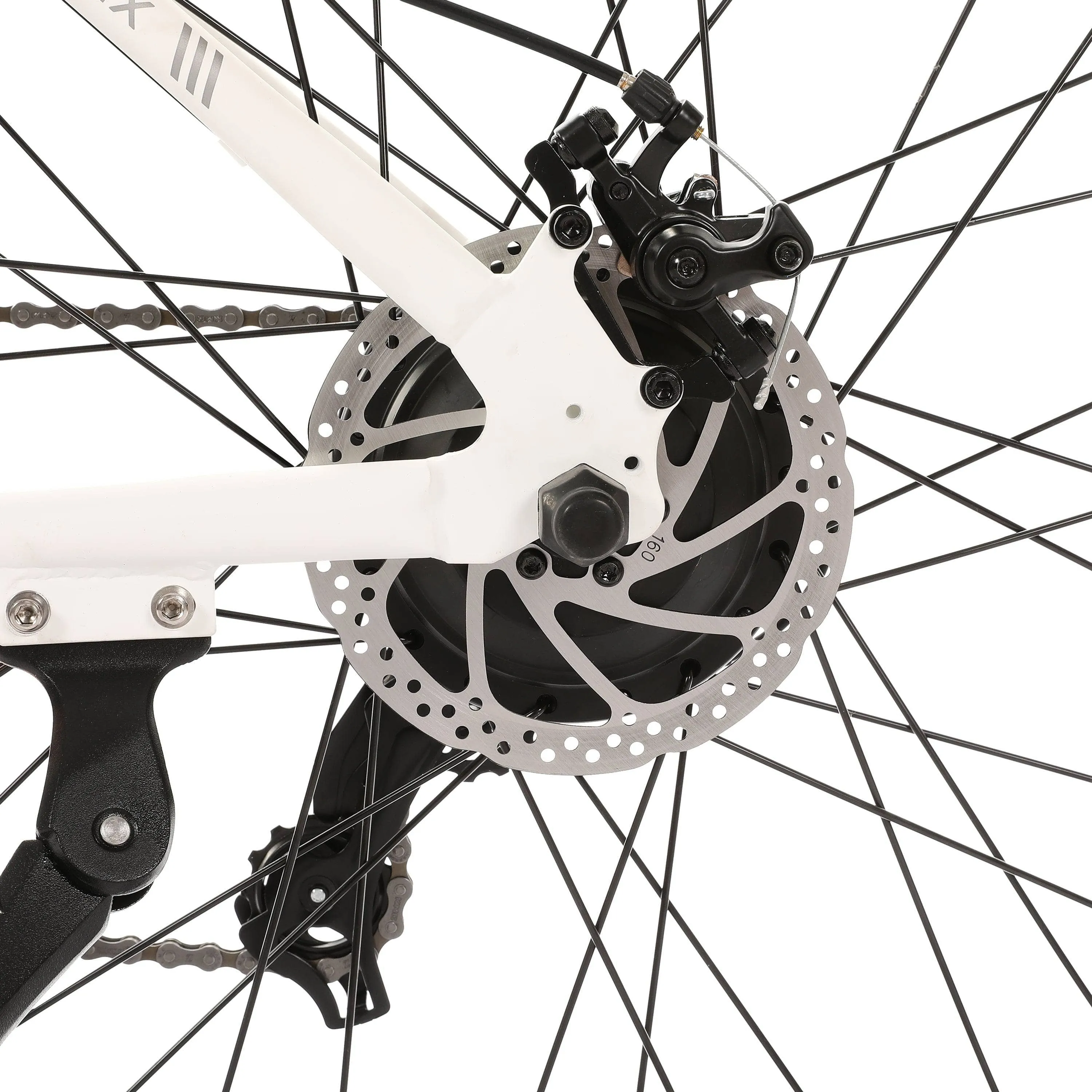 Ecotric Vortex 36V 350W Electric Bike