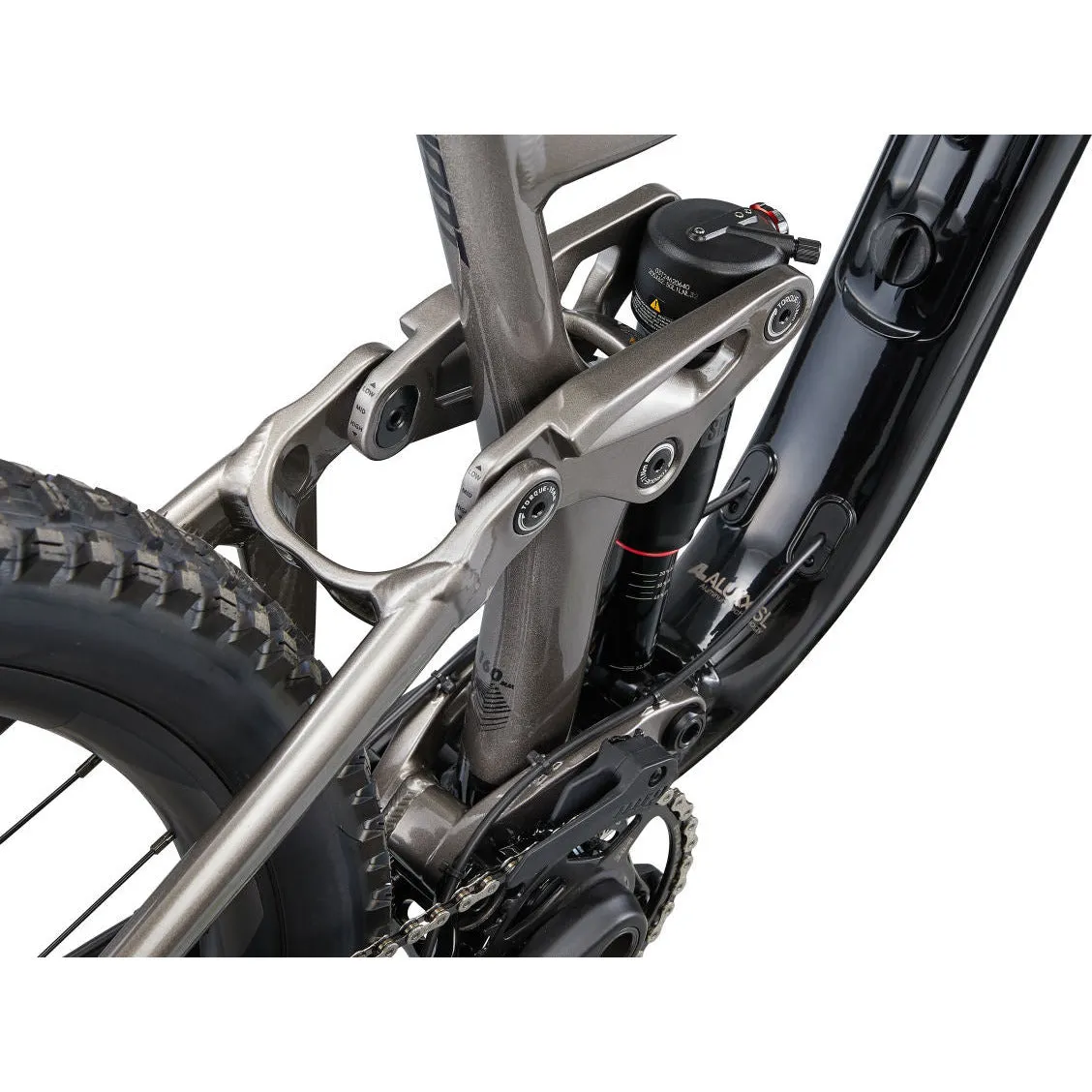 Giant Reign 2 29
