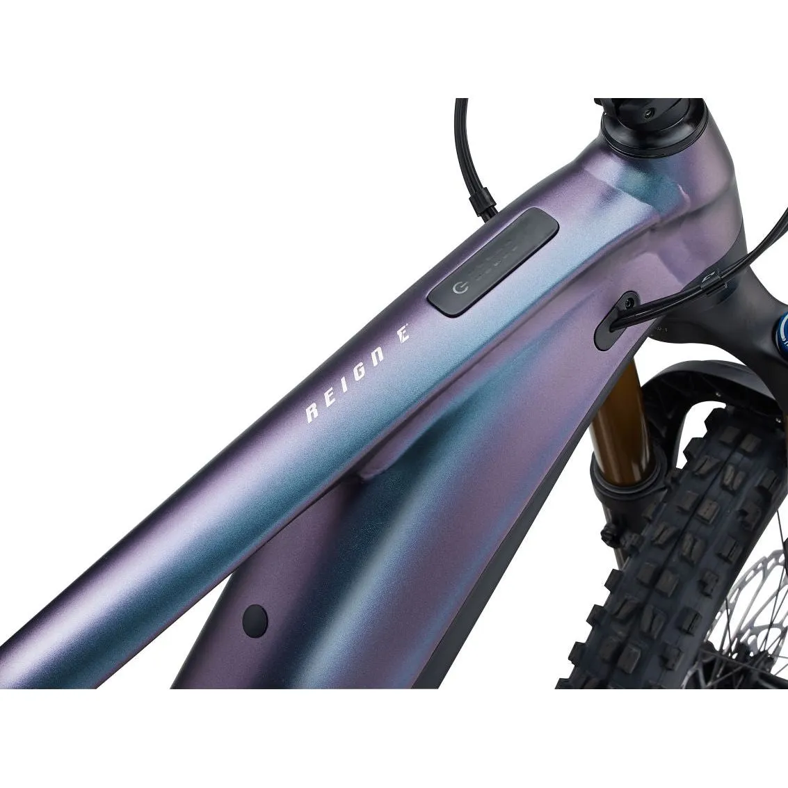 Giant Reign E  1  — Mixed Wheels