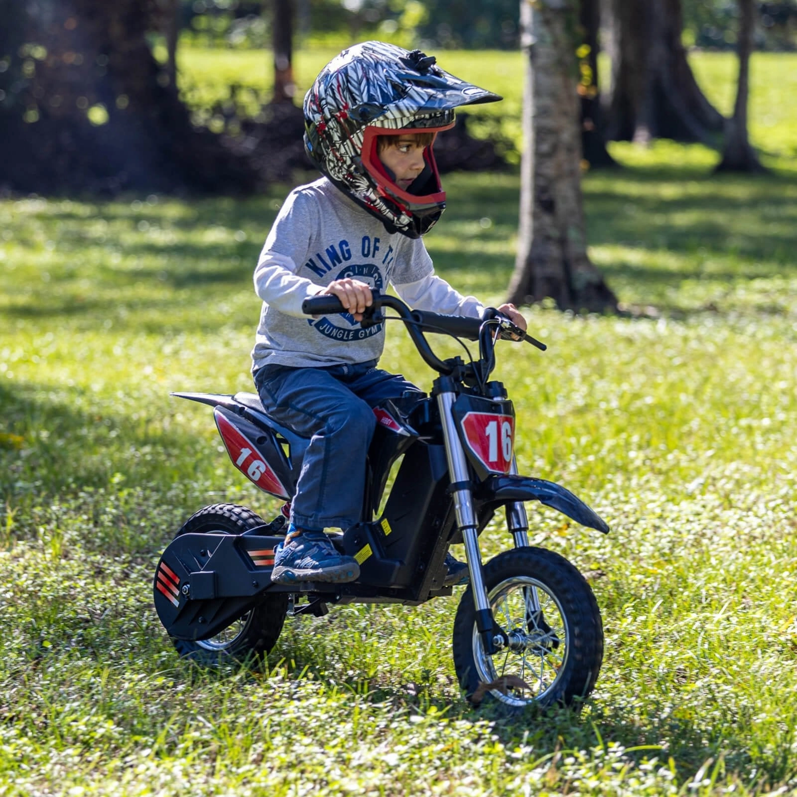 Hiboy DK1 Refurbished Electric Dirt Bike