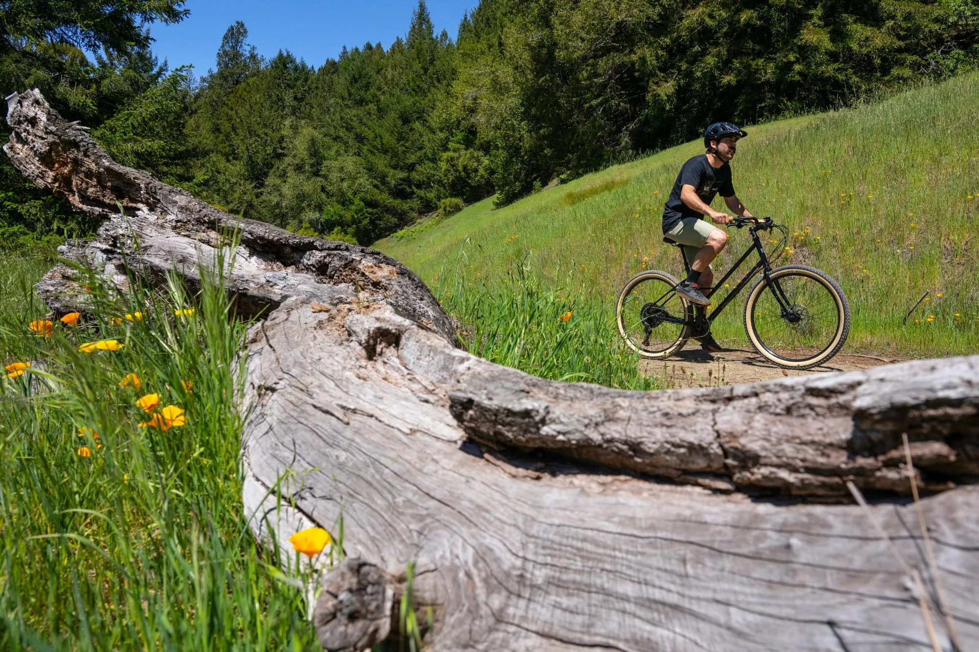 Marin Larkspur 2 - Hybrid Bike