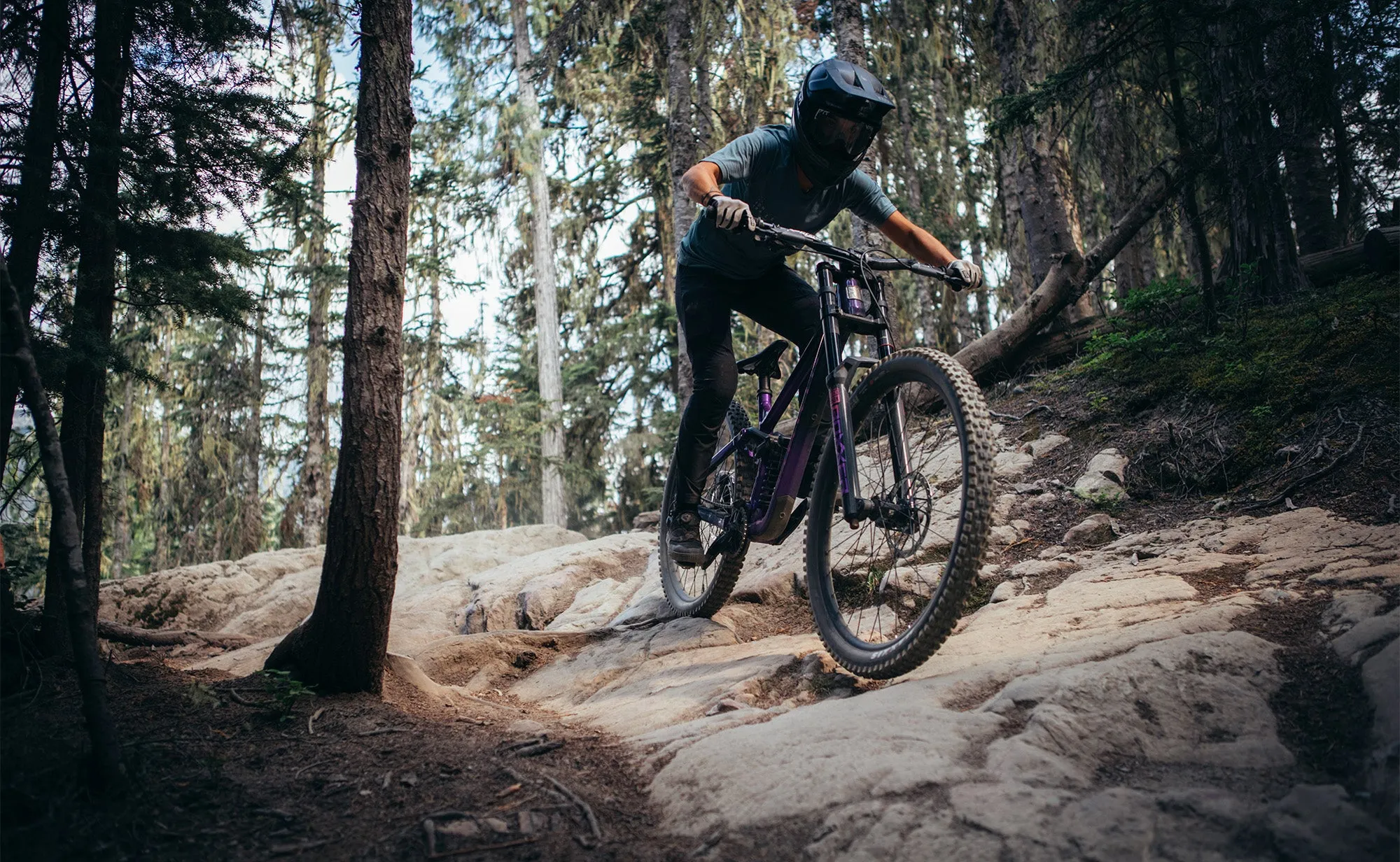 Marin Quake - Downhill Bike