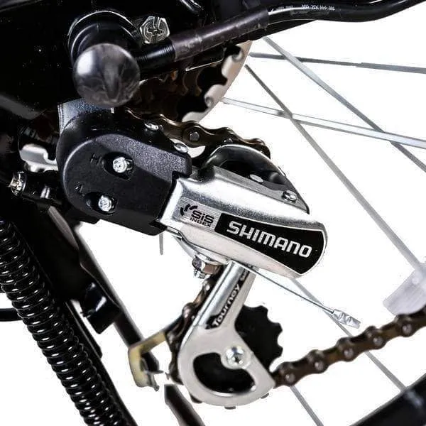 Nakto Camel Step Through Women's Electric Bike