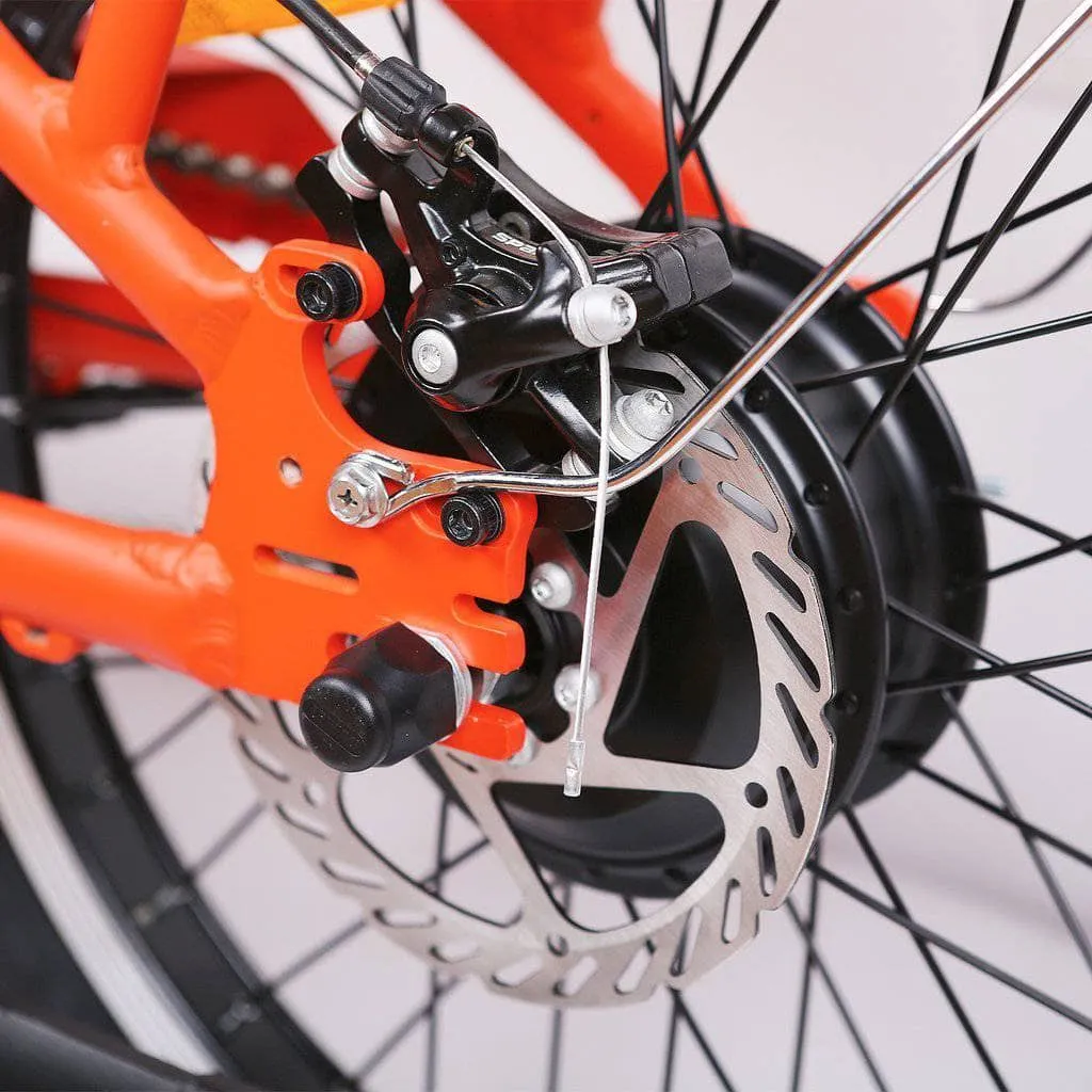Nakto Pony 36V 250W 20" Step Thru Electric City Bicycle