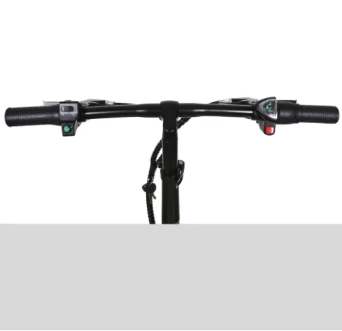 Nakto Skylark 36V 250W 16" Folding Electric Bicycle