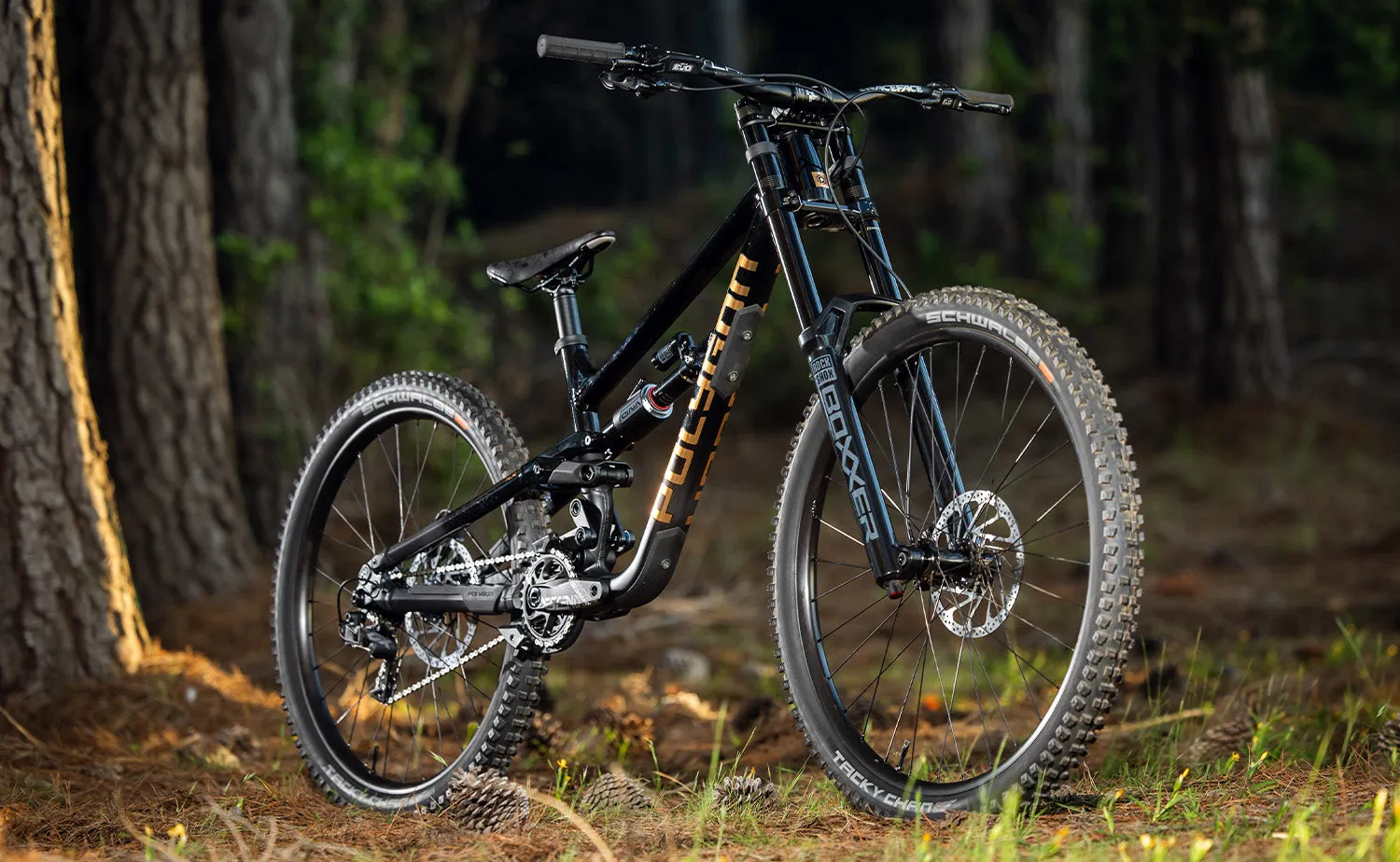 Polygon Collosus DH7 - Downhill Bike