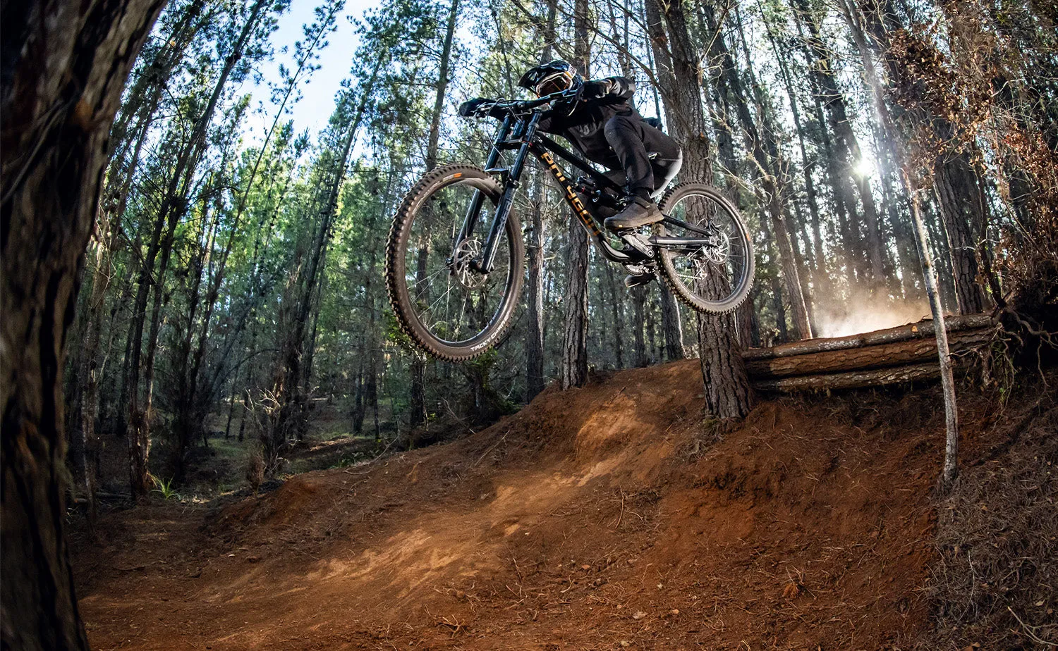 Polygon Collosus DH7 - Downhill Bike