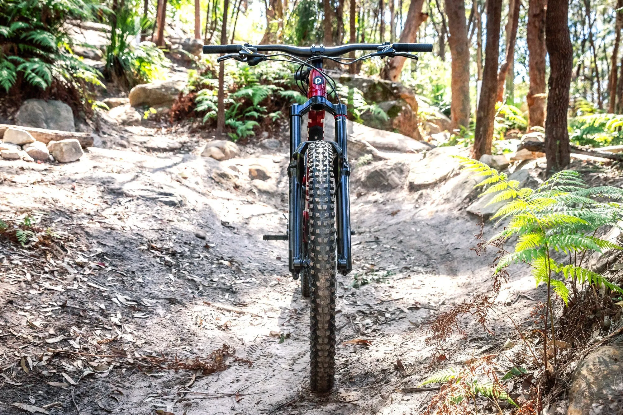Polygon Collosus N7 - Mountain Bike