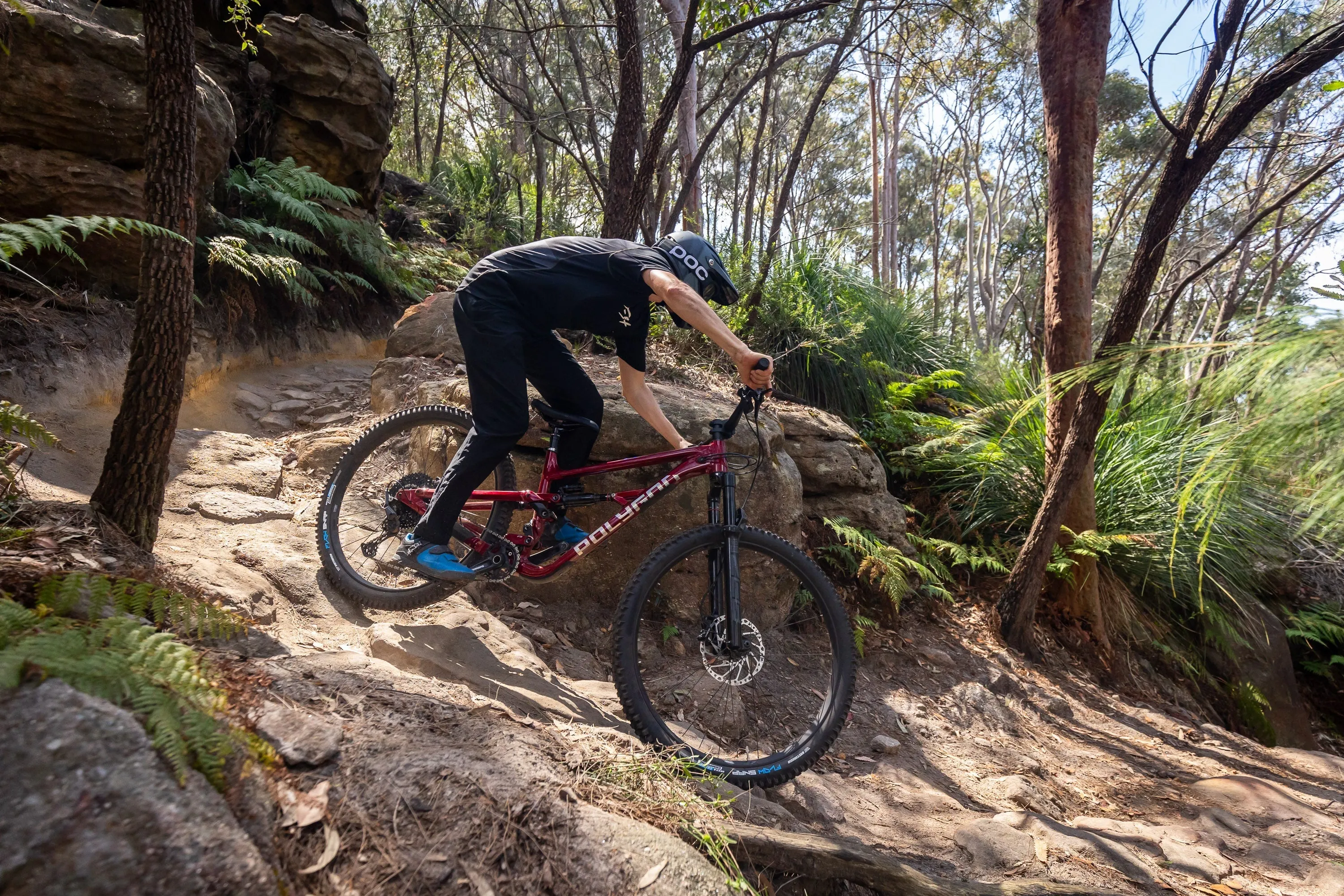 Polygon Collosus N7 - Mountain Bike