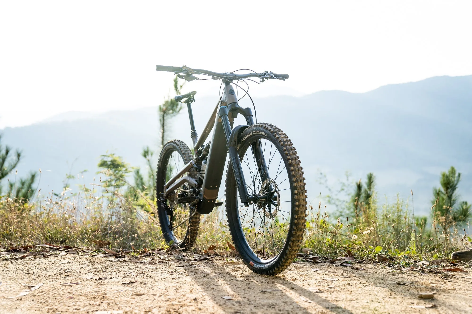 Polygon Collosus N8E - E-Mountain Bike