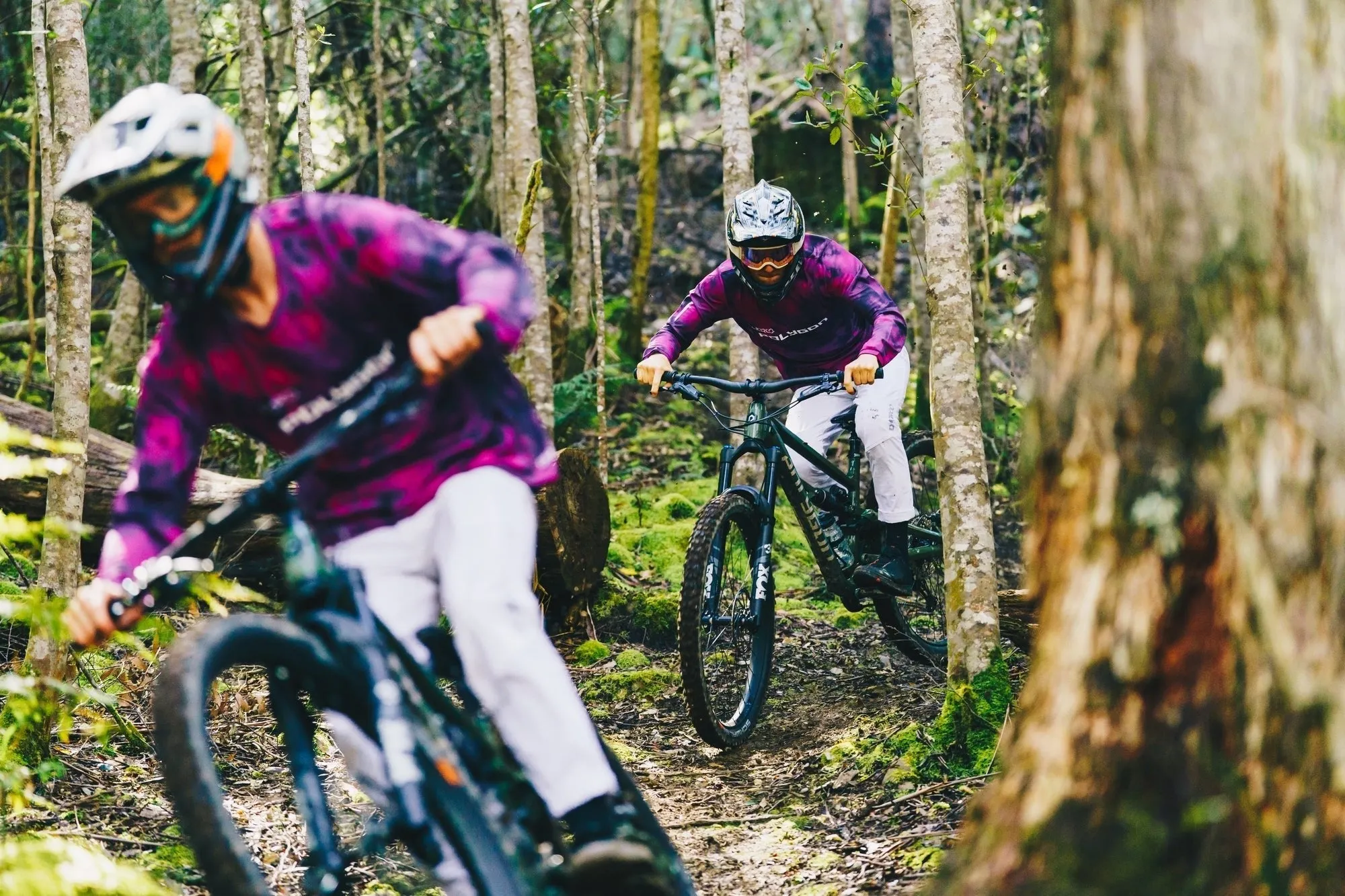 Polygon Collosus N9 - Mountain Bike