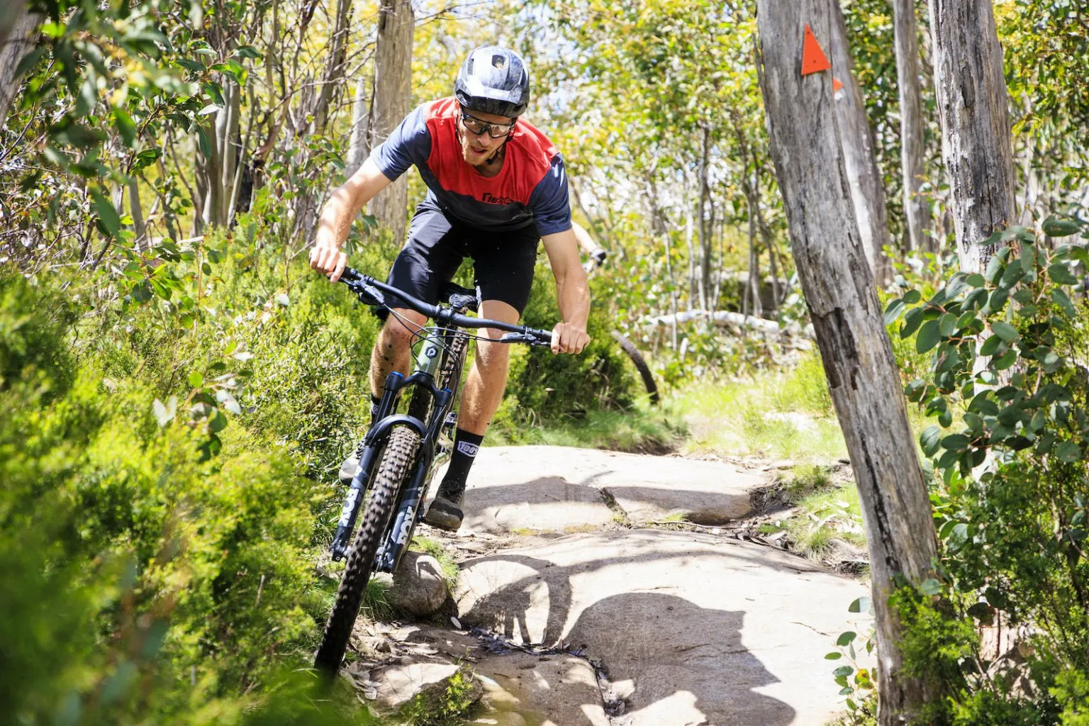 Polygon Collosus N9 - Mountain Bike