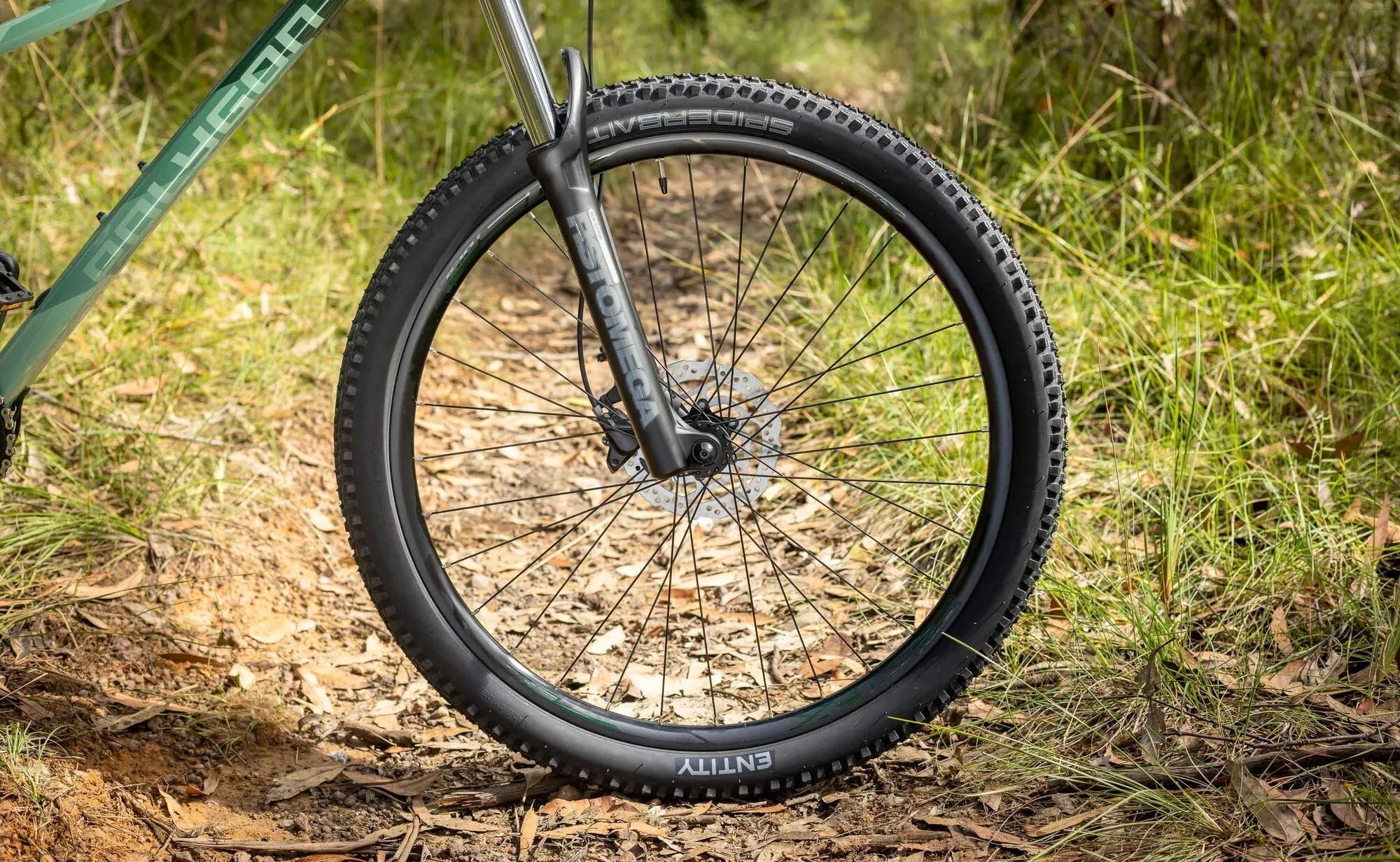 Polygon Xtrada 6 - Mountain Bike