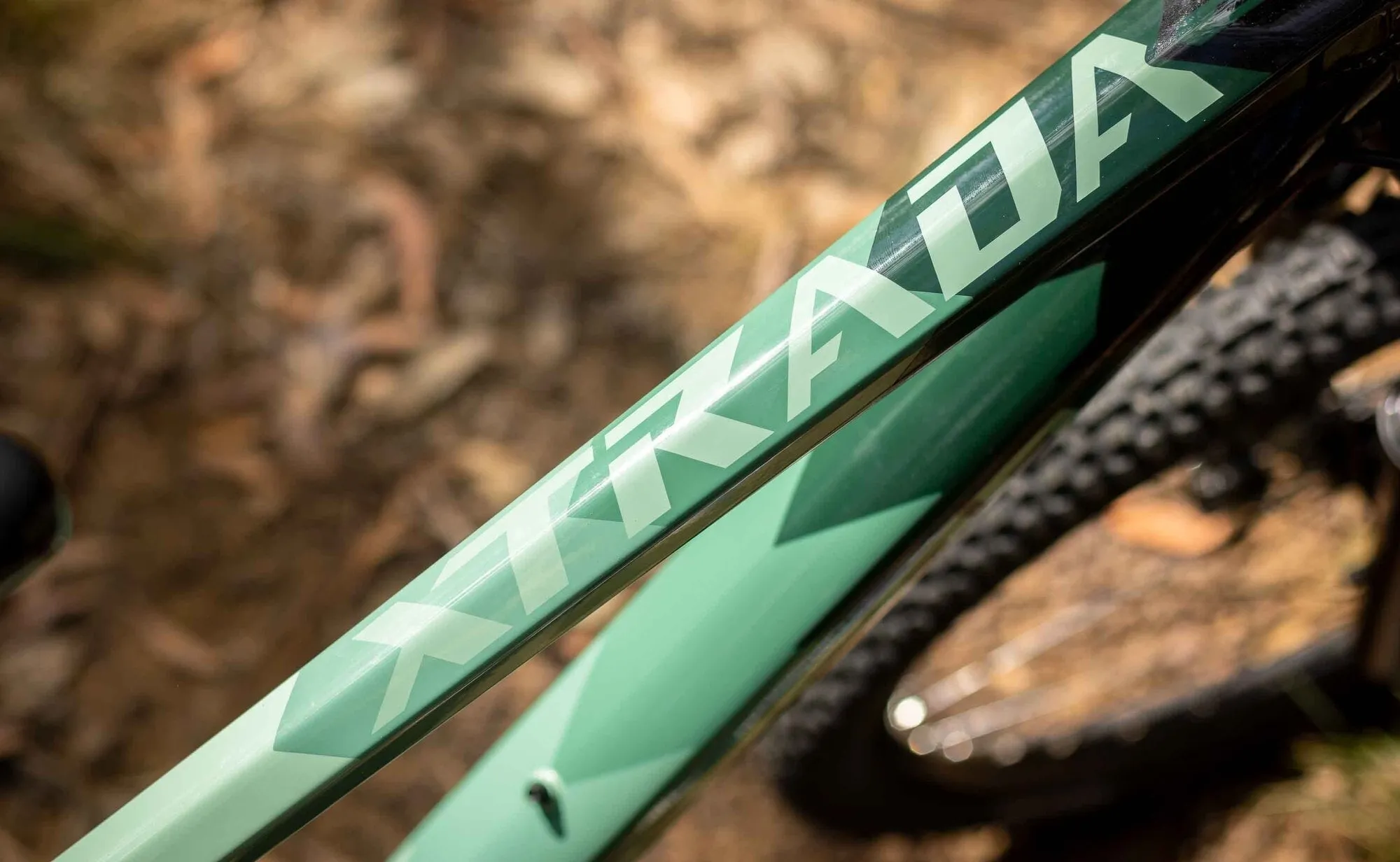 Polygon Xtrada 6 - Mountain Bike