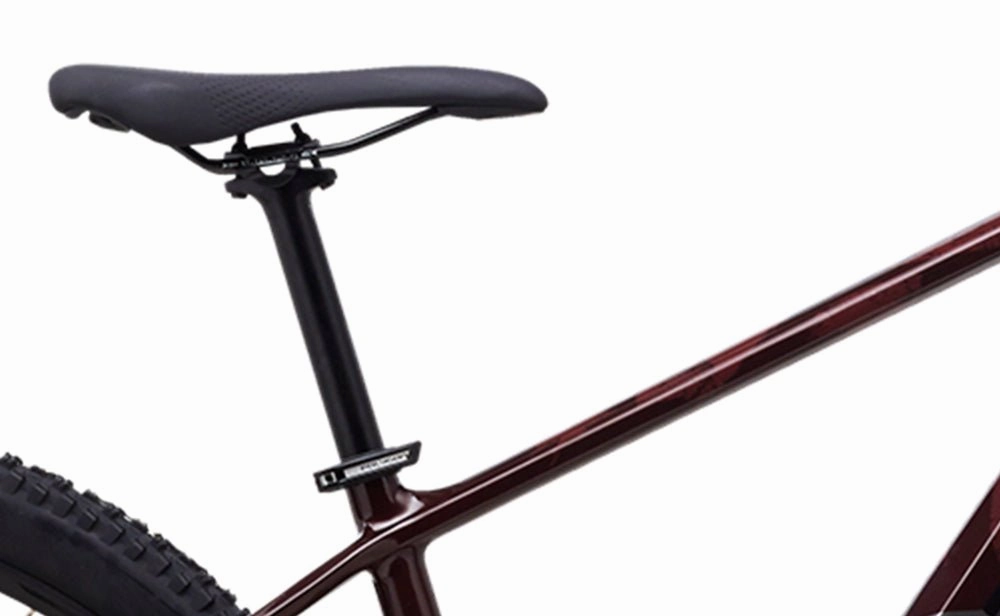 Polygon Syncline C3 - Carbon Mountain Bike