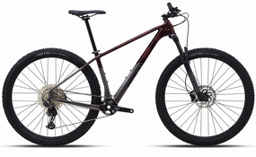Polygon Syncline C3 - Carbon Mountain Bike