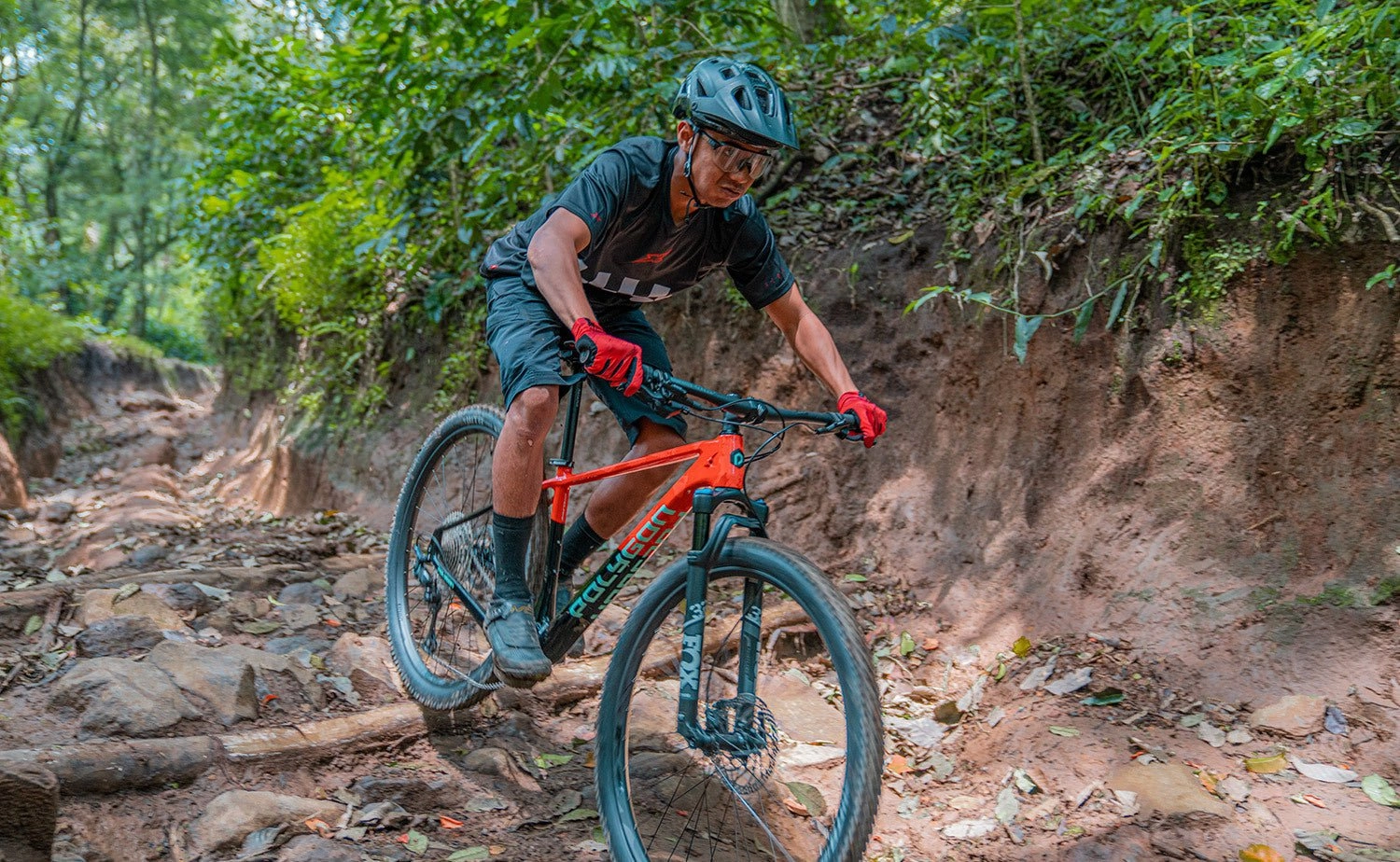 Polygon Syncline C5 - Carbon Mountain Bike