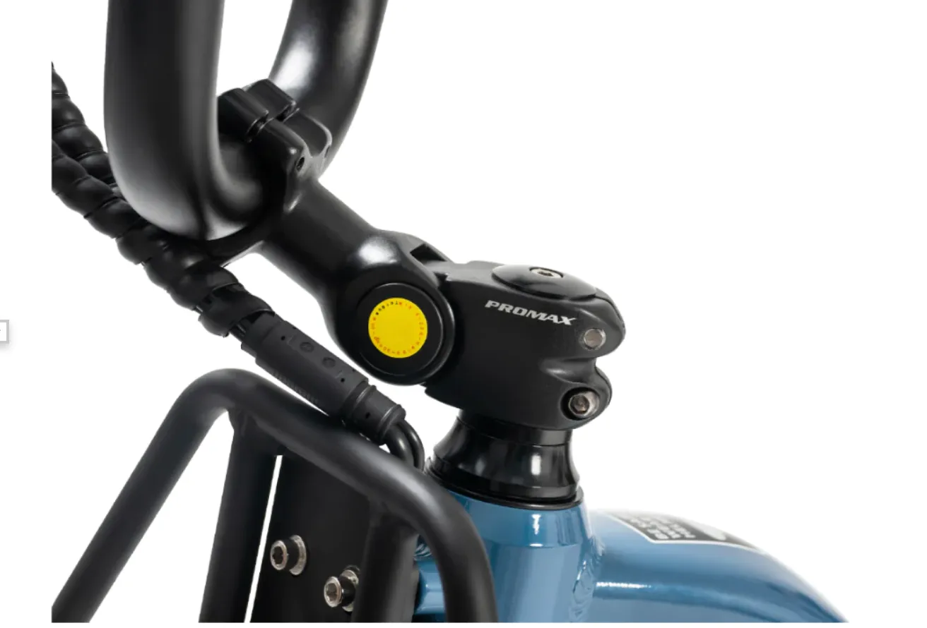 REVI Flux  Fat Tire Cargo Electric Bike BONUS