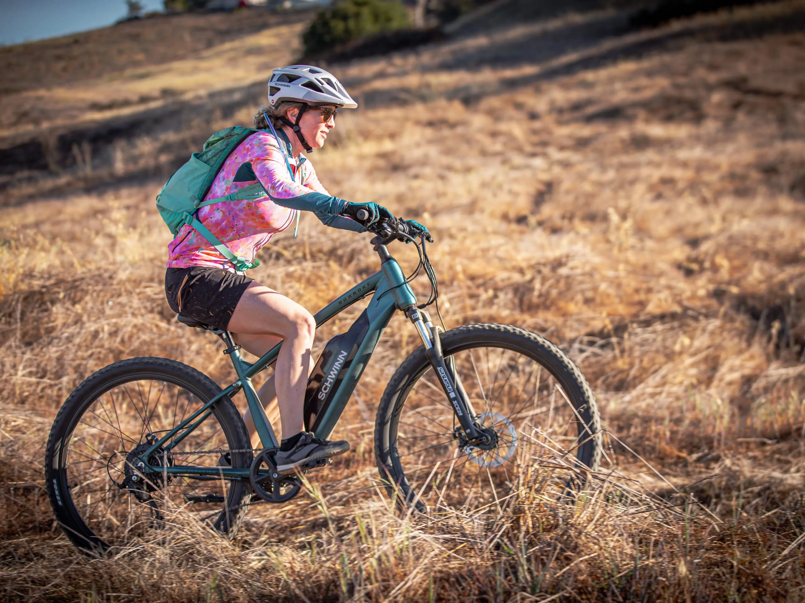 Roanoke 27.5in Electric Bike