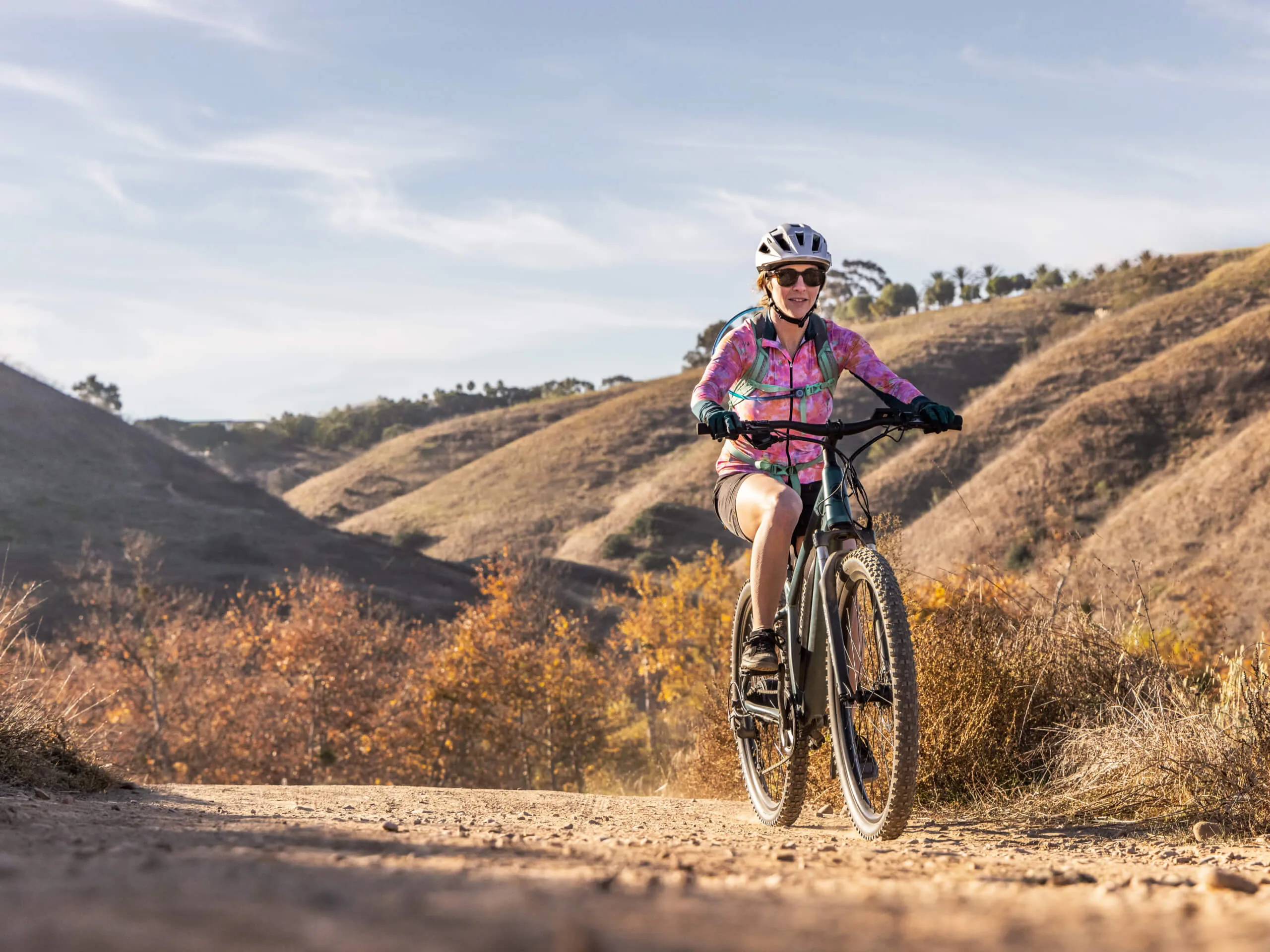 Roanoke 27.5in Electric Bike