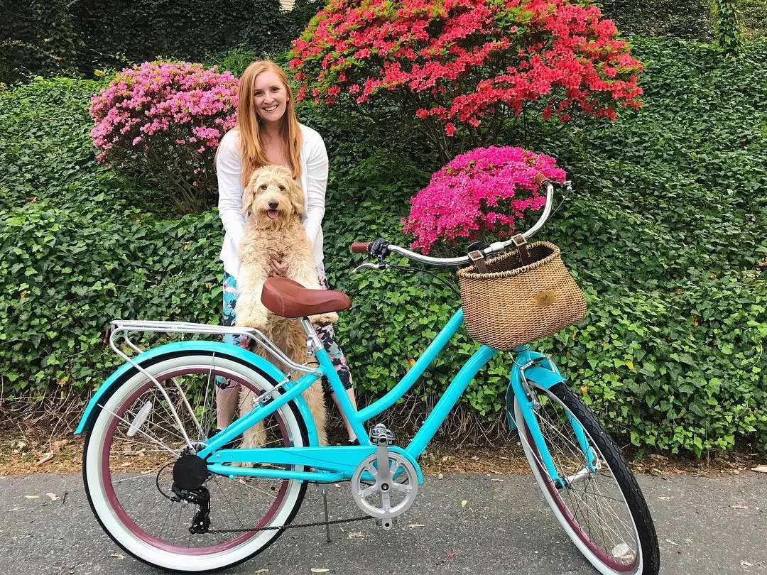 sixthreezero EVRYjourney Women's 24" 3 Speed Step-Through Touring Hybrid Bicycle