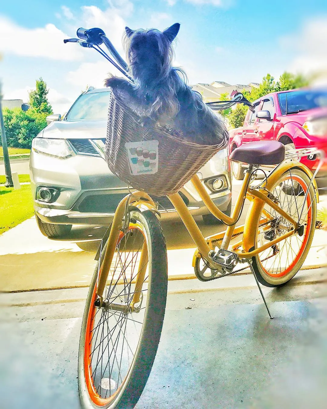 sixthreezero EVRYjourney Women's 24" 3 Speed Step-Through Touring Hybrid Bicycle