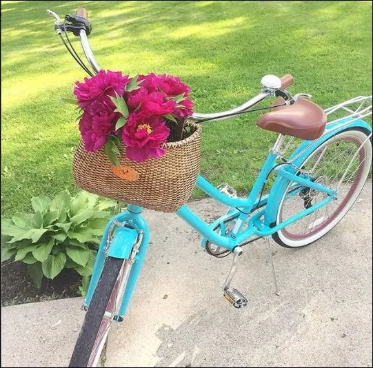 sixthreezero EVRYjourney Women's 24" 3 Speed Step-Through Touring Hybrid Bicycle