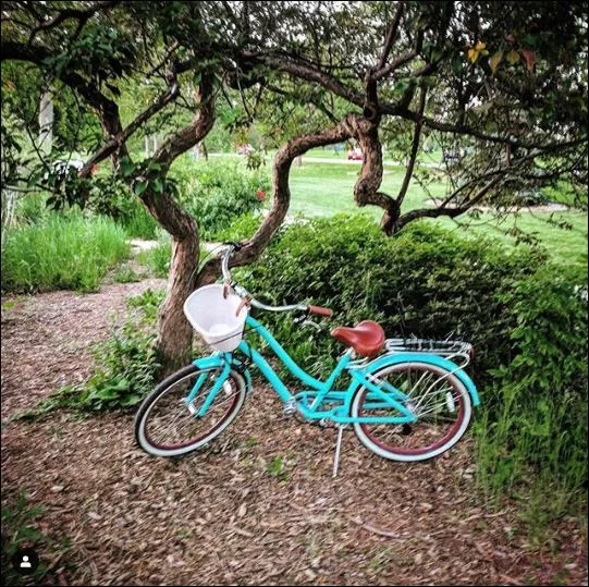 sixthreezero EVRYjourney Women's 24" 3 Speed Step-Through Touring Hybrid Bicycle