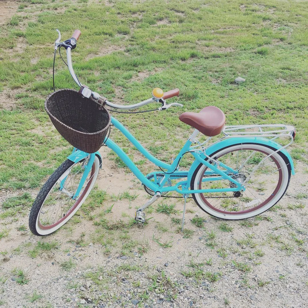 sixthreezero EVRYjourney Women's 24" 3 Speed Step-Through Touring Hybrid Bicycle