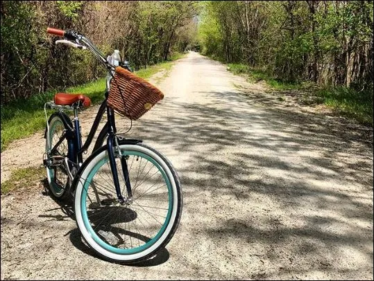 sixthreezero EVRYjourney Women's 24" 3 Speed Step-Through Touring Hybrid Bicycle