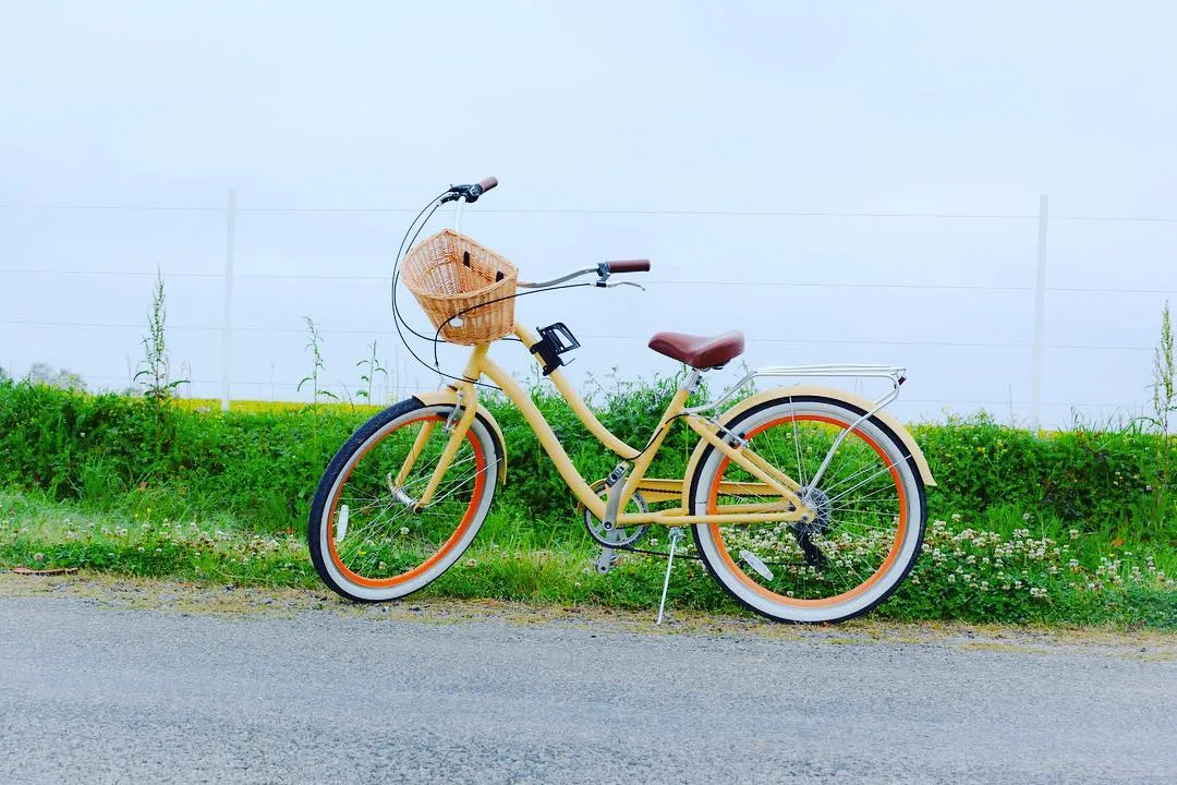 sixthreezero EVRYjourney Women's 24" 3 Speed Step-Through Touring Hybrid Bicycle