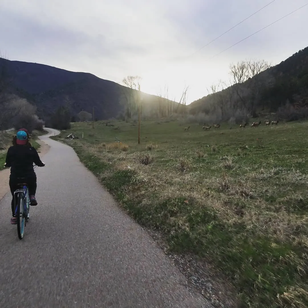 sixthreezero EVRYjourney Women's 24" 3 Speed Step-Through Touring Hybrid Bicycle