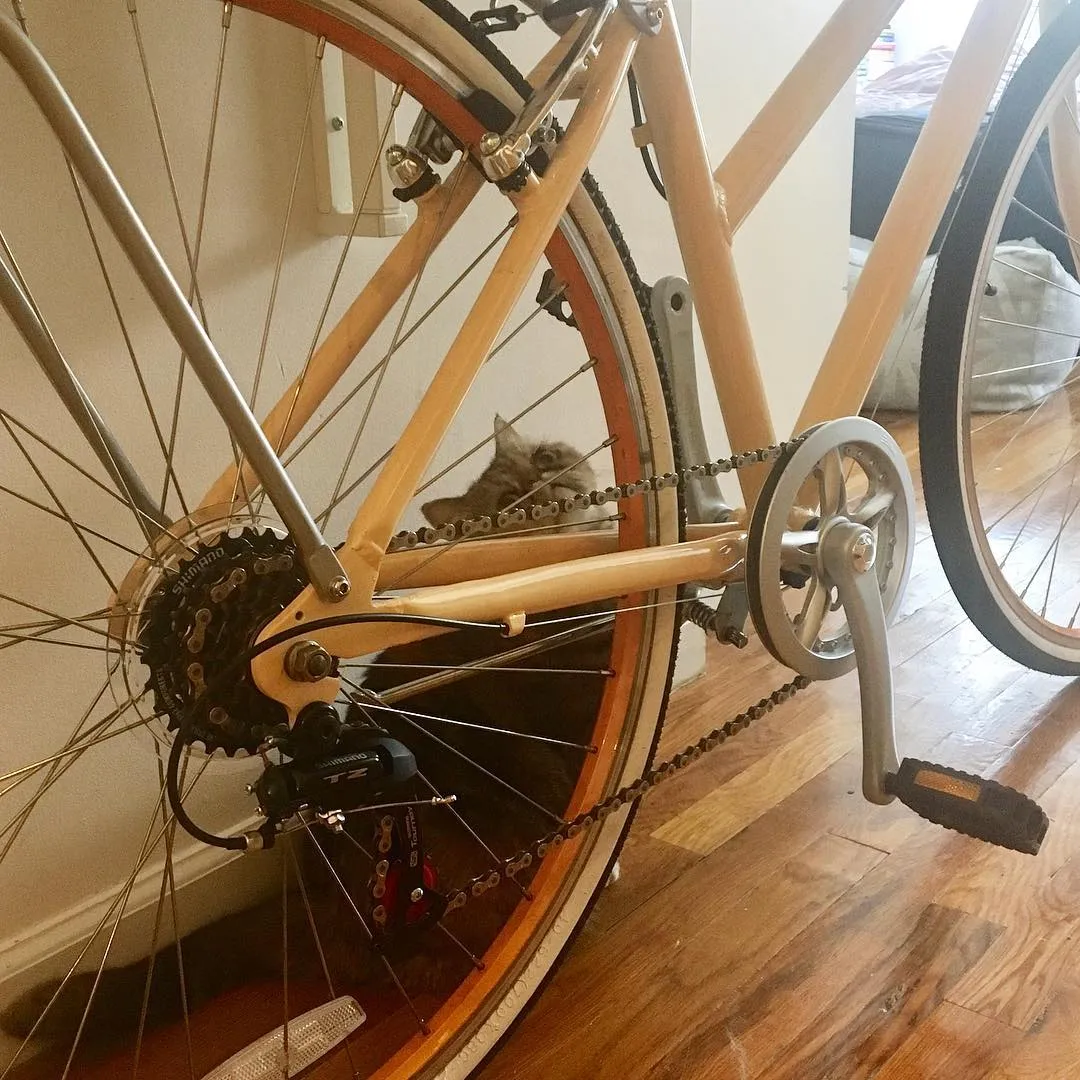 sixthreezero EVRYjourney Women's 24" 3 Speed Step-Through Touring Hybrid Bicycle