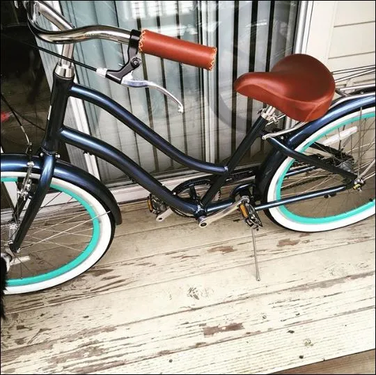 sixthreezero EVRYjourney Women's 24" 3 Speed Step-Through Touring Hybrid Bicycle