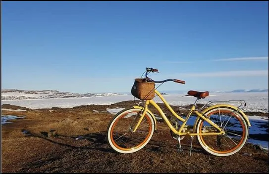 sixthreezero EVRYjourney Women's 24" 3 Speed Step-Through Touring Hybrid Bicycle