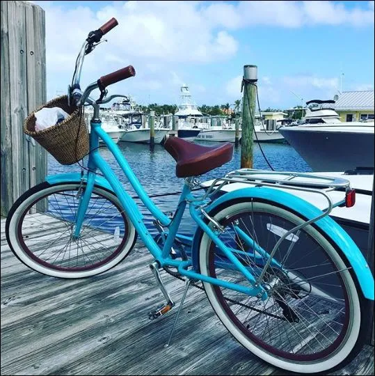 sixthreezero EVRYjourney Women's 24" 3 Speed Step-Through Touring Hybrid Bicycle