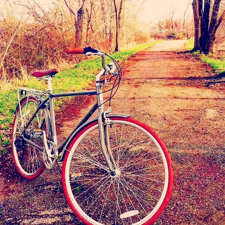 sixthreezero Ride in the Park Men's 3 Speed Touring City Bike with Rear Rack