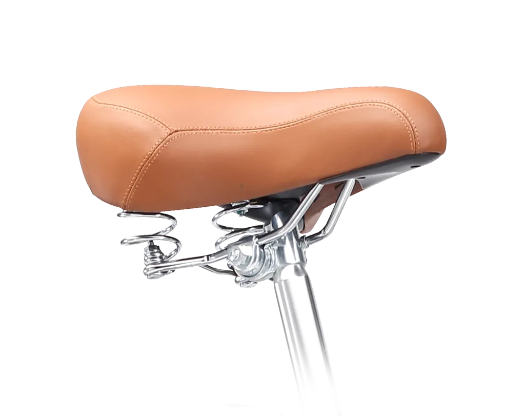 sixthreezero Ride in the Park Women's 3 Speed Touring City Bike with Rear Rack